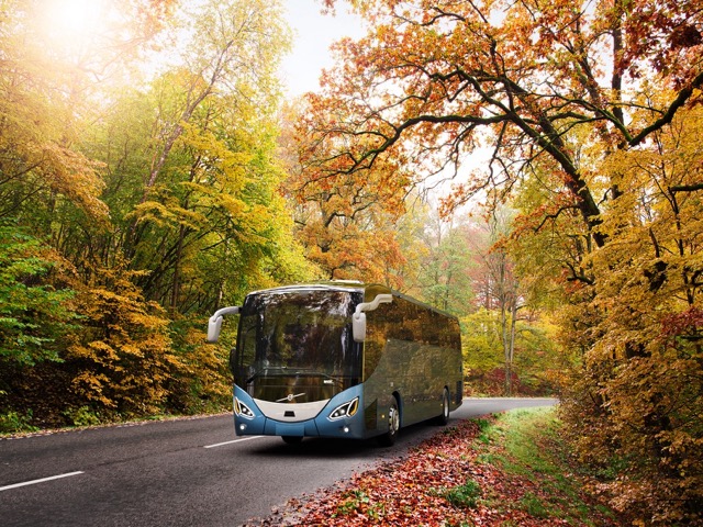 The Ultimate Guide to Choosing the Perfect 50 Seater Coach for Your England Tour