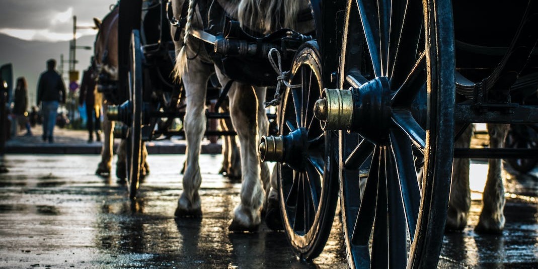 The Ultimate Guide to Horse and Carriage Hire Costs in Birtley