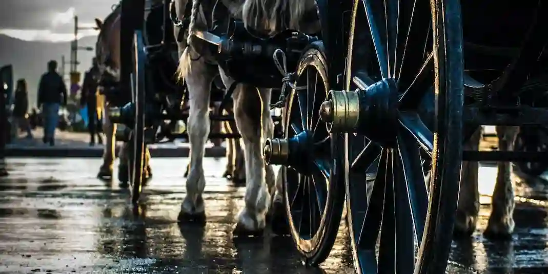 Top Tips for Last Minute Horse and Carriage Hire Across the UK