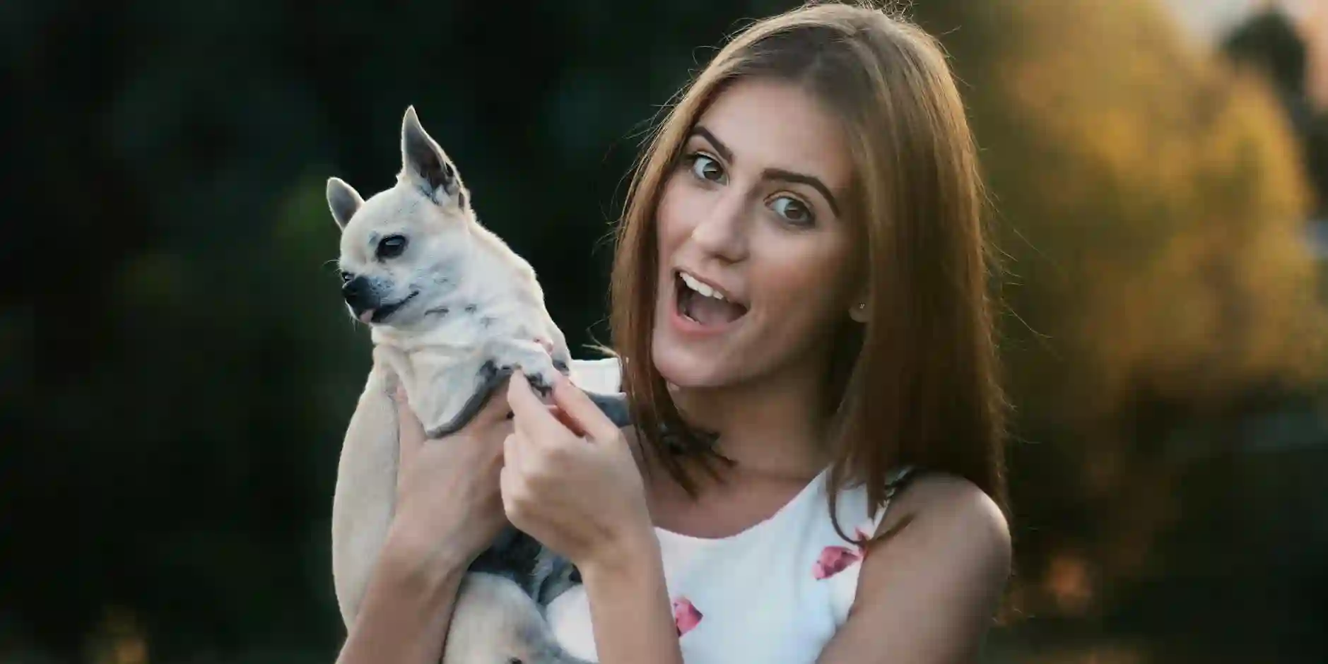 Pet Insurance Explained: What Every Pet Owner in the UK Should Know Pet Insurance Explained: What Every Pet Owner in the UK Should Know