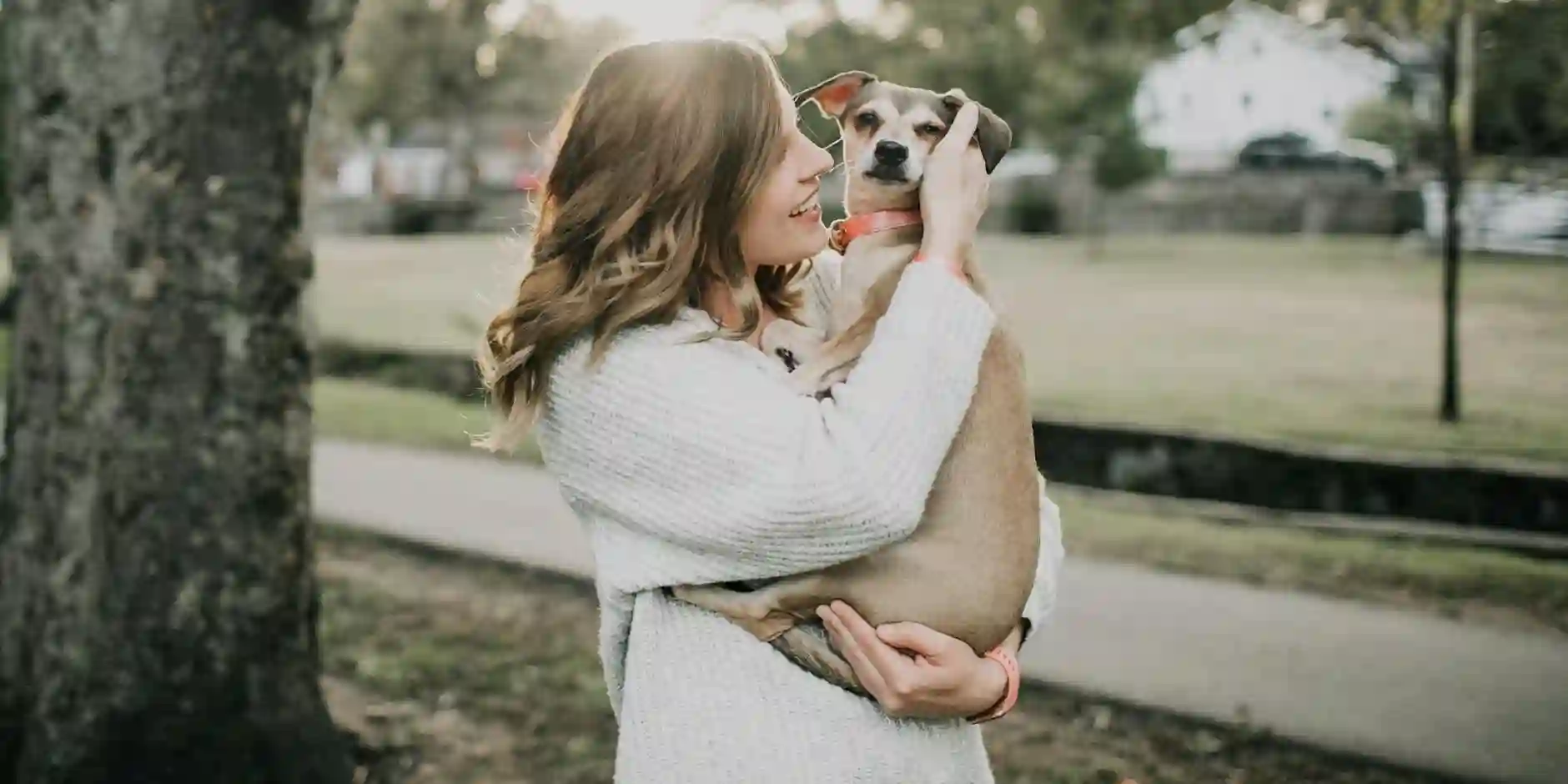 Understanding the Benefits of Pet Insurance in Manchester Understanding the Benefits of Pet Insurance in Manchester