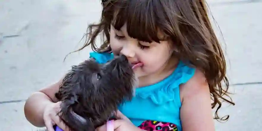 How Does Pet Insurance Work and Is It Worth It for Your Furry Friend? How Does Pet Insurance Work and Is It Worth It for Your Furry Friend?