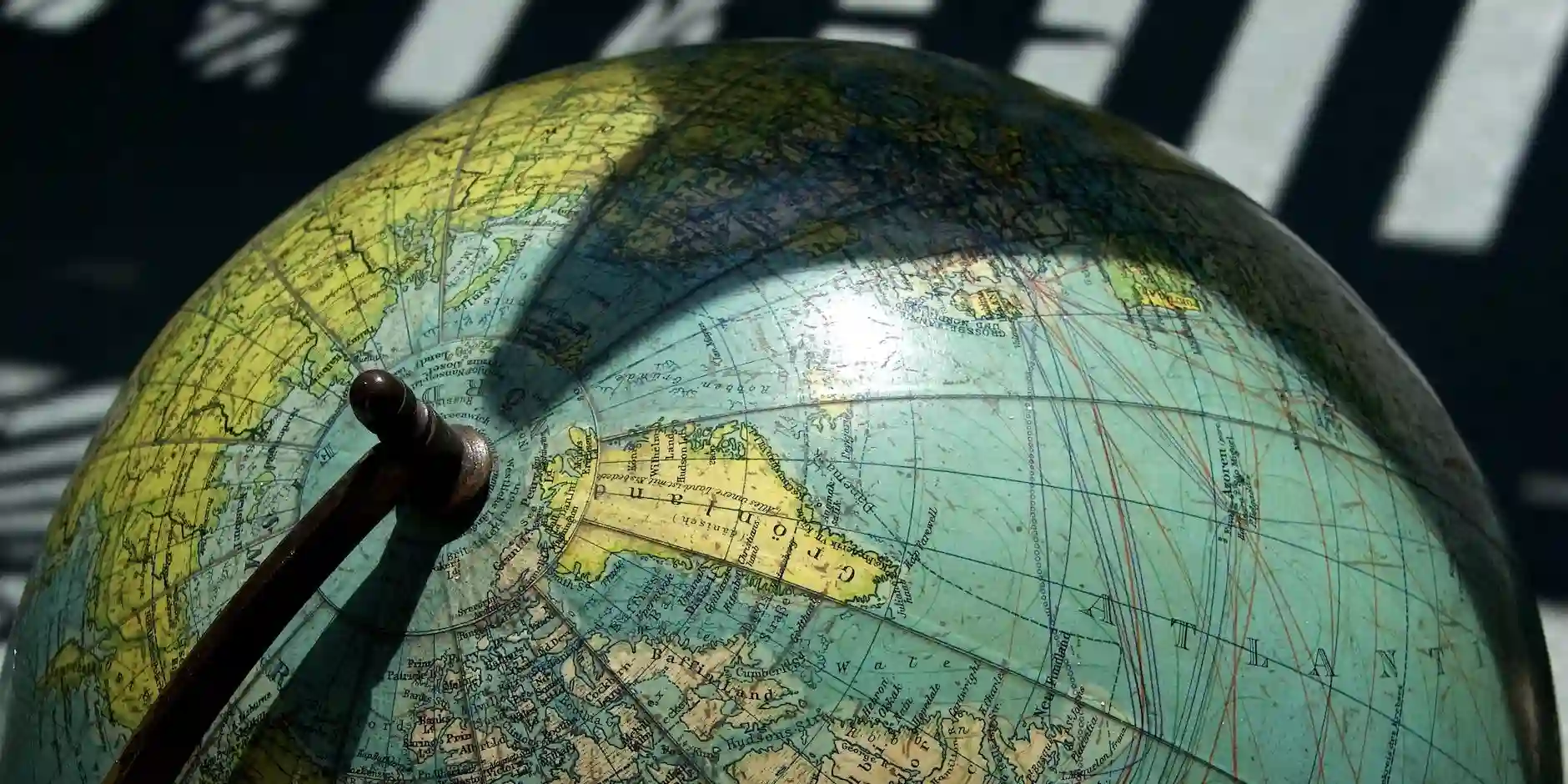 Exploring the Hidden Wonders of Nature Reserves in Dundee: A Guide for Nature Enthusiasts