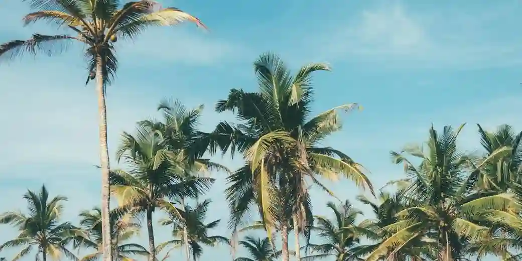 Top Tips for Saving Money on Car Rentals in the UK