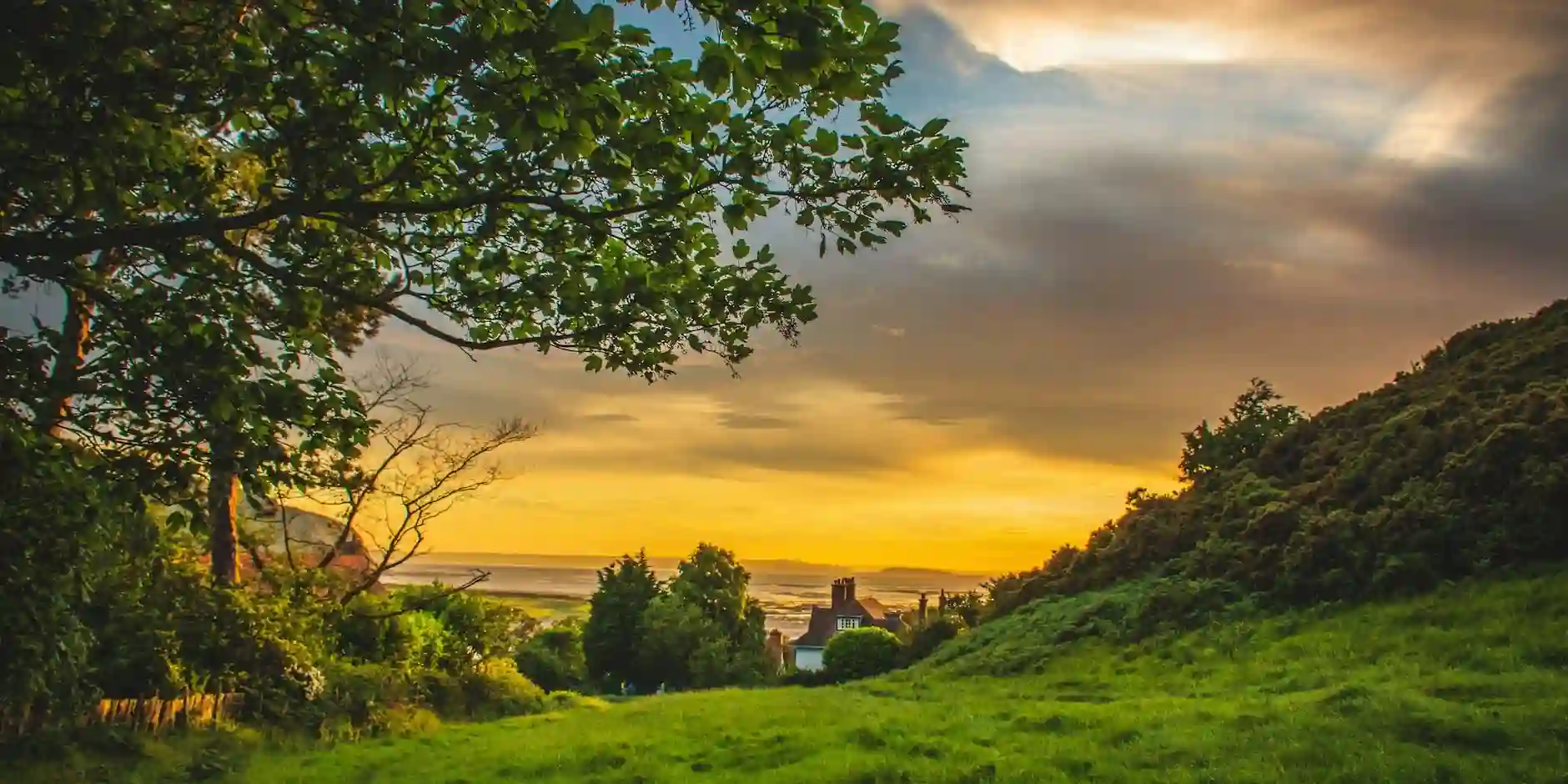 Exploring Cardiff's Best Hidden Gems: From Bute Park to Sneinton's Secret Spots